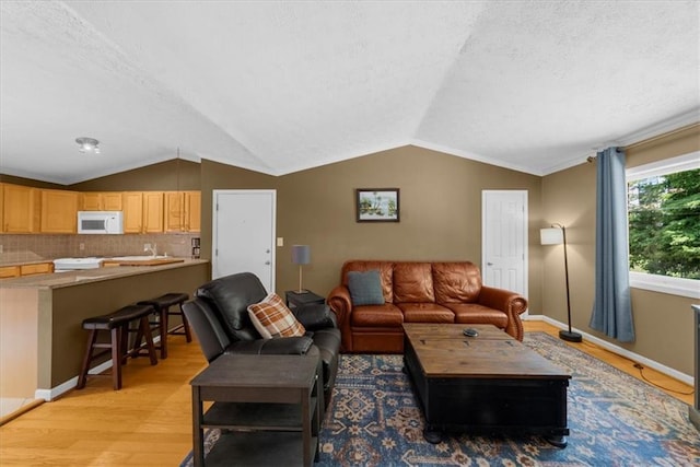 1822 N Rock Springs Rd NE Unit 24, Atlanta, GA 30324 - living area with lofted ceiling, a textured ceiling, and light wood-style floors