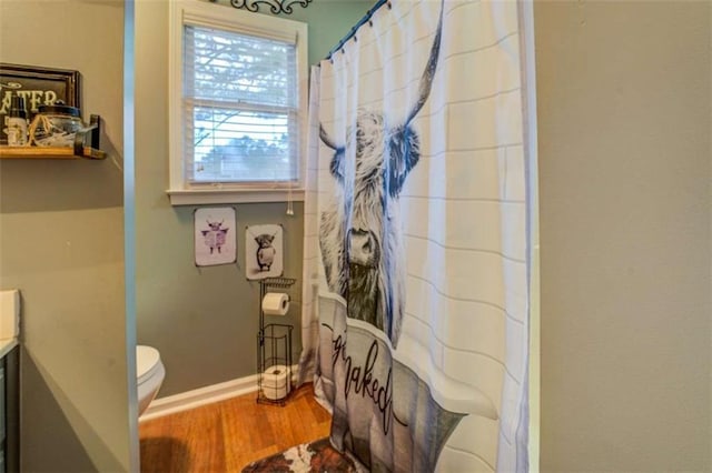 bathroom featuring hardwood / wood-style flooring, vanity, toilet, and walk in shower