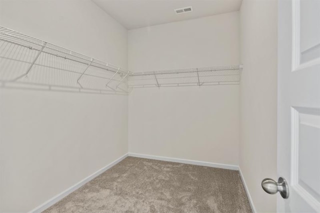walk in closet with carpet flooring