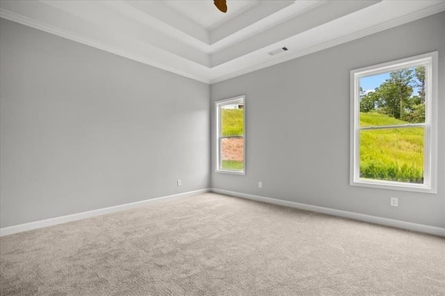 1101 Cooks Farm Way, Woodstock, GA 30189 - unfurnished room with carpet floors, baseboards, healthy amount of natural light, a raised ceiling, and ornamental molding