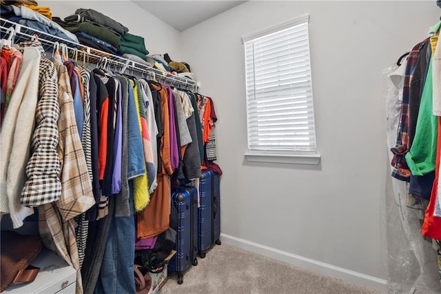 spacious closet with carpet floors