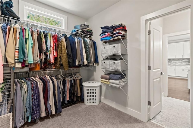 spacious closet featuring carpet