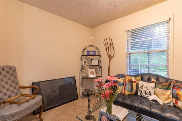 265 Forest Lake Dr, Covington, GA 30016 - living area featuring carpet floors and a textured ceiling