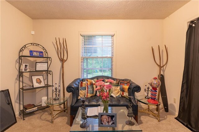 265 Forest Lake Dr, Covington, GA 30016 - living area with carpet floors and a textured ceiling
