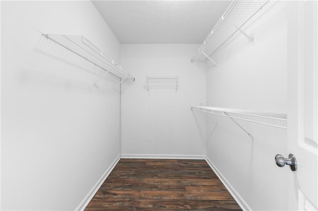 spacious closet with dark wood-type flooring