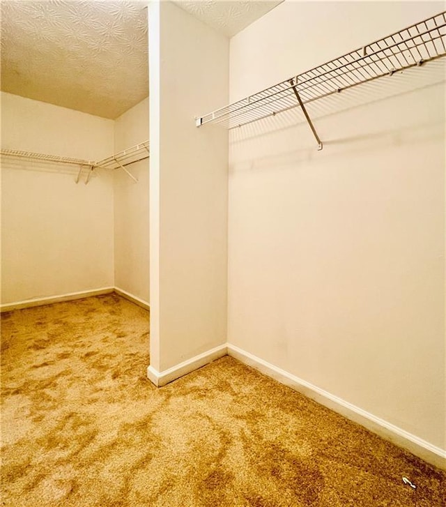 walk in closet featuring carpet floors