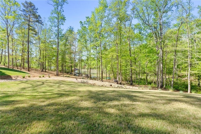 131 Quiet Cove Way, Monticello, GA 31064 - view of green lawn