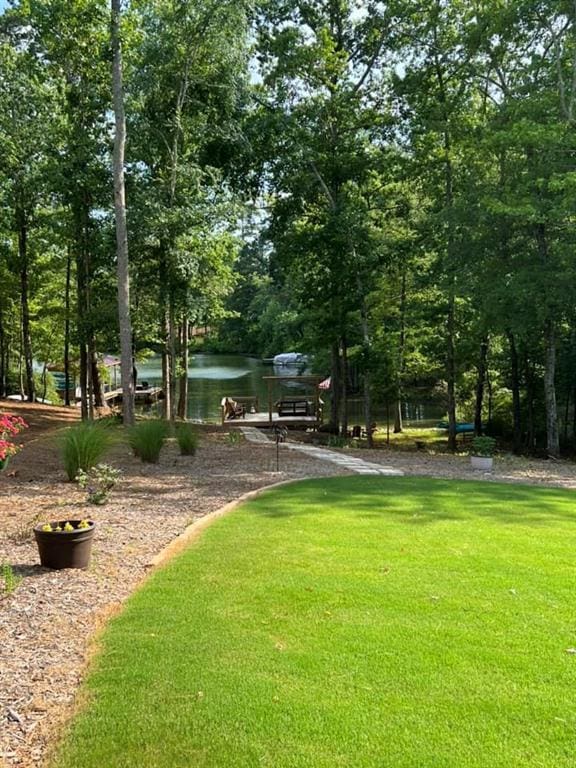 131 Quiet Cove Way, Monticello, GA 31064 - surrounding community with a lawn and a water view