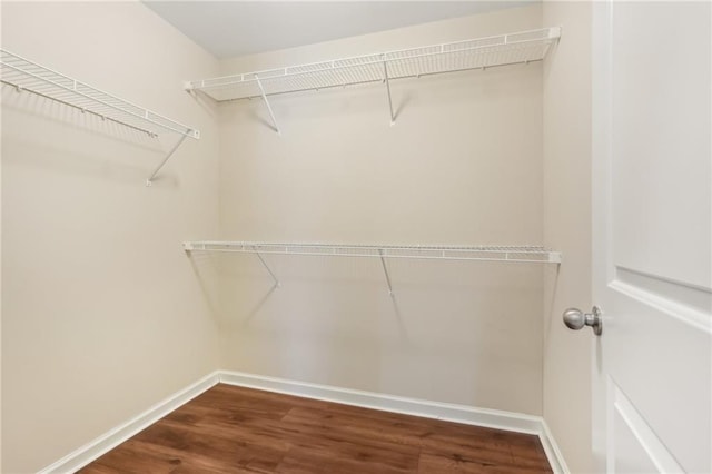 2785 Maple Park Pl, Cumming, GA 30041 - walk in closet with wood finished floors