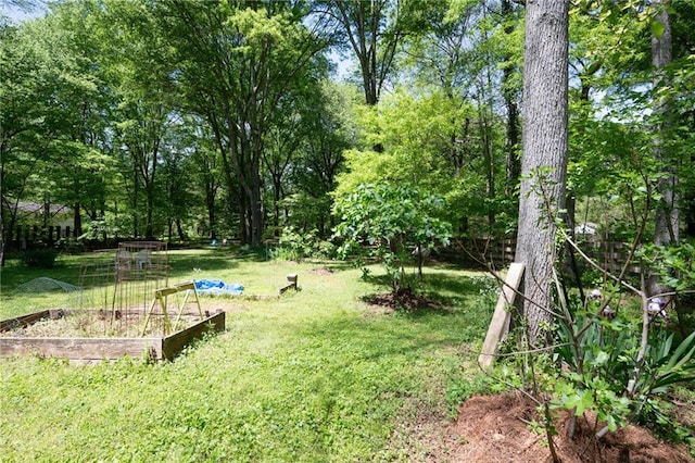 170 Mayfield Cir, Alpharetta, GA 30009 - view of green lawn featuring a vegetable garden