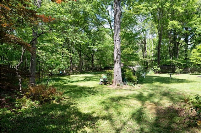 170 Mayfield Cir, Alpharetta, GA 30009 - view of green lawn with a wooded view