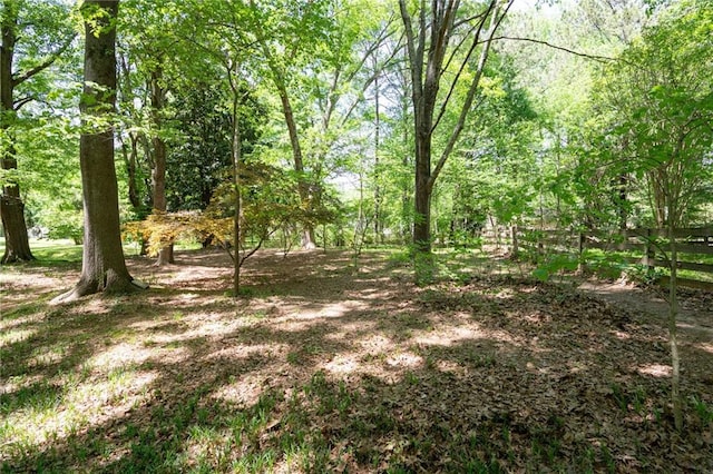 170 Mayfield Cir, Alpharetta, GA 30009 - view of local wilderness