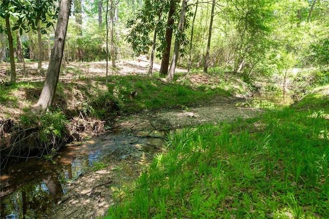 170 Mayfield Cir, Alpharetta, GA 30009 - view of undeveloped land