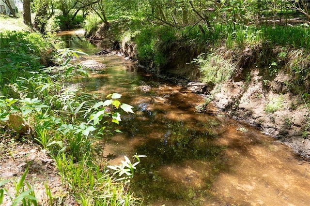 170 Mayfield Cir, Alpharetta, GA 30009 - view of local wilderness