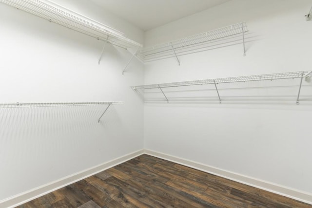 1565 Briergate Dr, Duluth, GA 30097 - walk in closet featuring dark wood-style floors