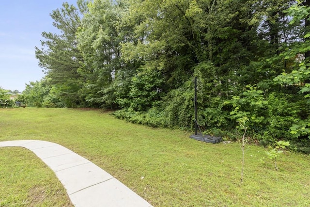 1565 Briergate Dr, Duluth, GA 30097 - view of green lawn