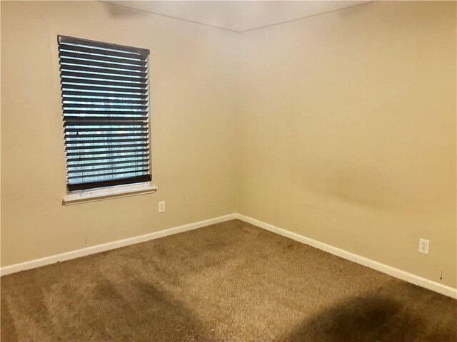 spare room featuring carpet floors