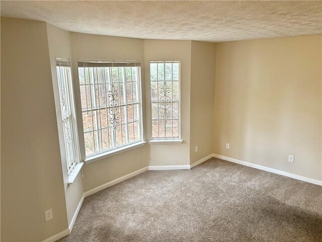 unfurnished room featuring a textured ceiling and carpet flooring