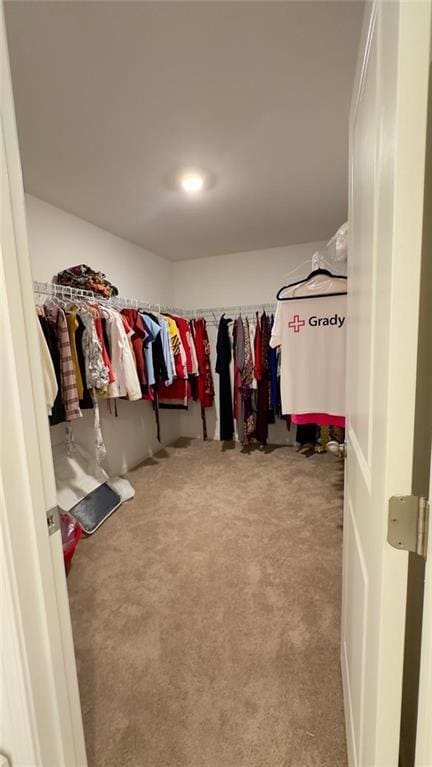 walk in closet featuring carpet flooring