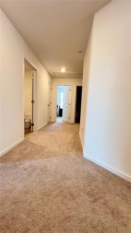 spare room featuring light colored carpet