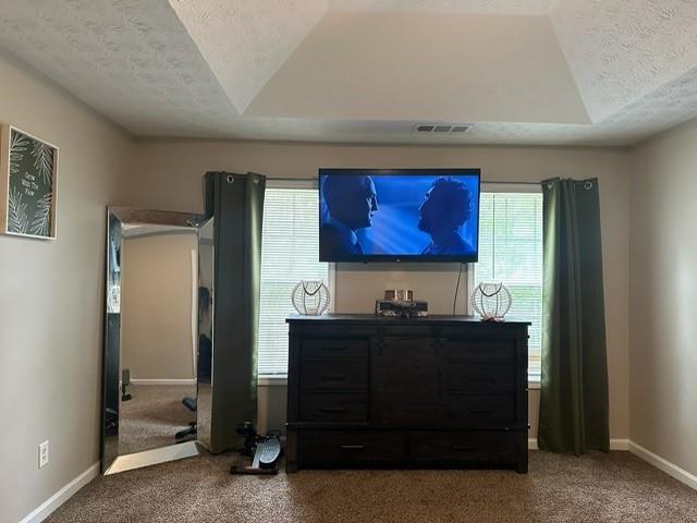 bedroom featuring visible vents, a textured ceiling, baseboards, and carpet floors