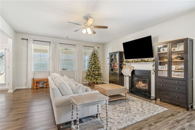 living room with hardwood / wood-style floors and ceiling fan