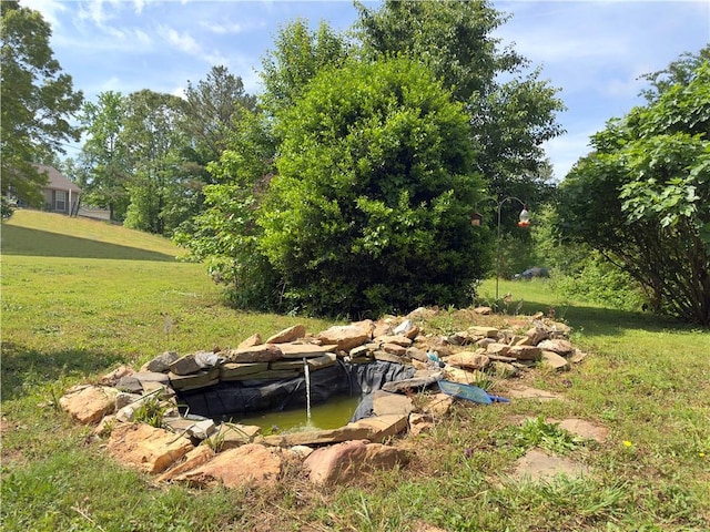 204 Bluff Ct, Jackson, GA 30233 - view of green lawn