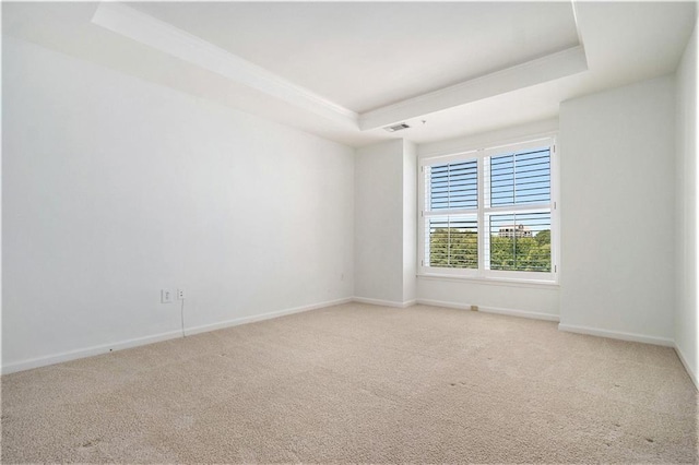 carpeted empty room with a raised ceiling