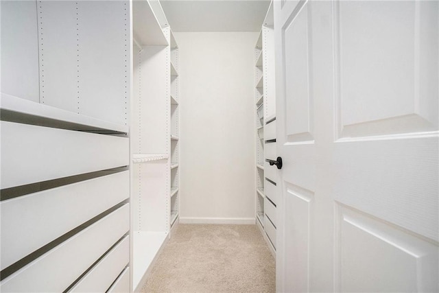 spacious closet featuring light carpet