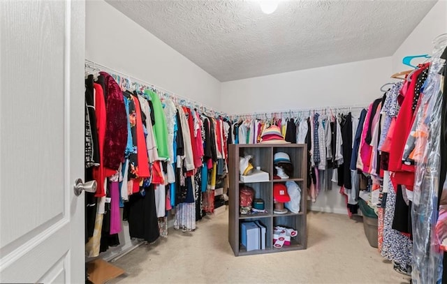 walk in closet with carpet flooring