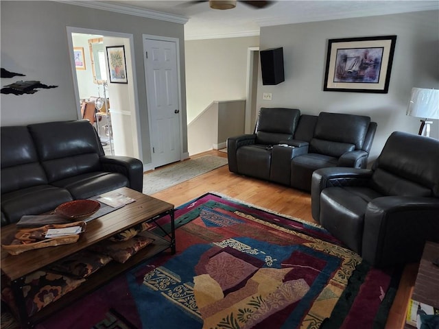 living room featuring ceiling fan, ornamental molding, and light wood-type flooring