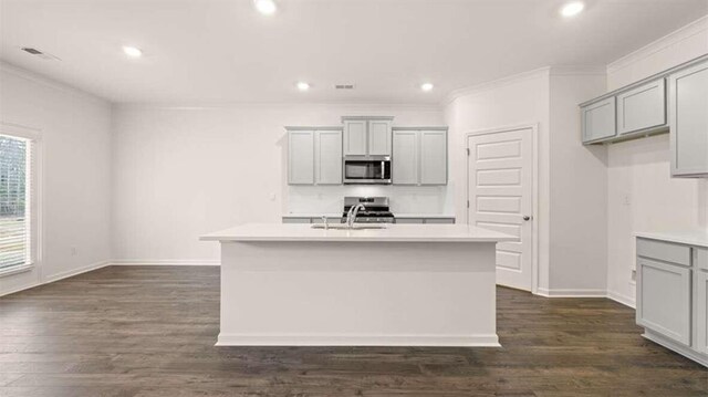 kitchen featuring dark wood-type flooring, a kitchen island with sink, gray cabinetry, and sink