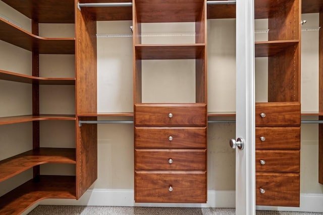 walk in closet with carpet floors