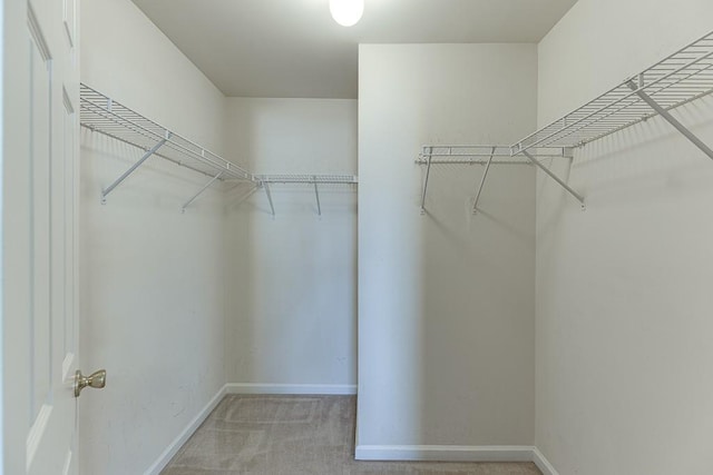 walk in closet with light colored carpet