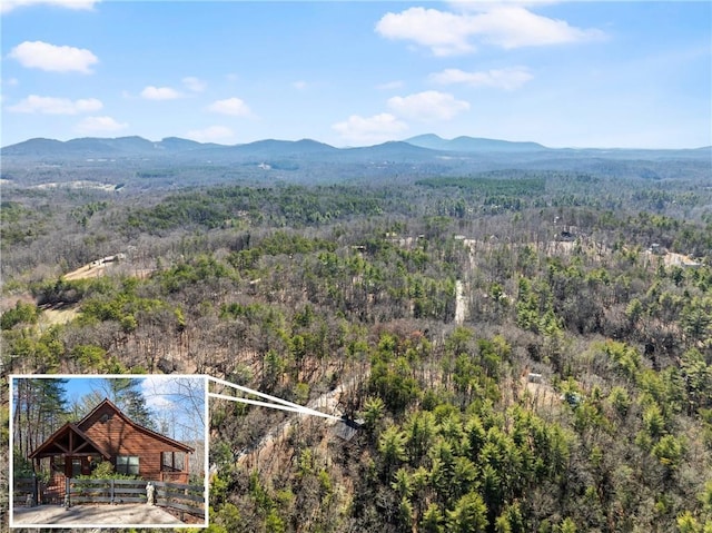 birds eye view of property featuring a mountain view and a view of trees