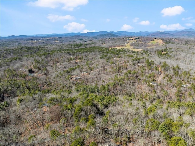 drone / aerial view with a mountain view