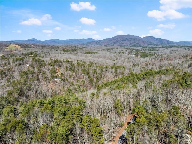 property view of mountains with a wooded view