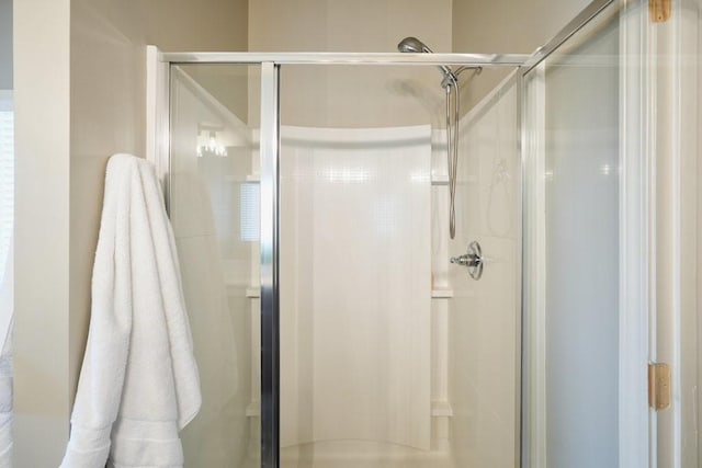 48 Ironwood Ct, Dallas, GA 30132 - bathroom featuring a shower stall