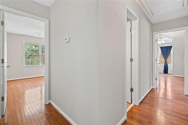 180 Butterfield Ln, Fayetteville, GA 30214 - corridor featuring attic access, hardwood / wood-style flooring, and baseboards