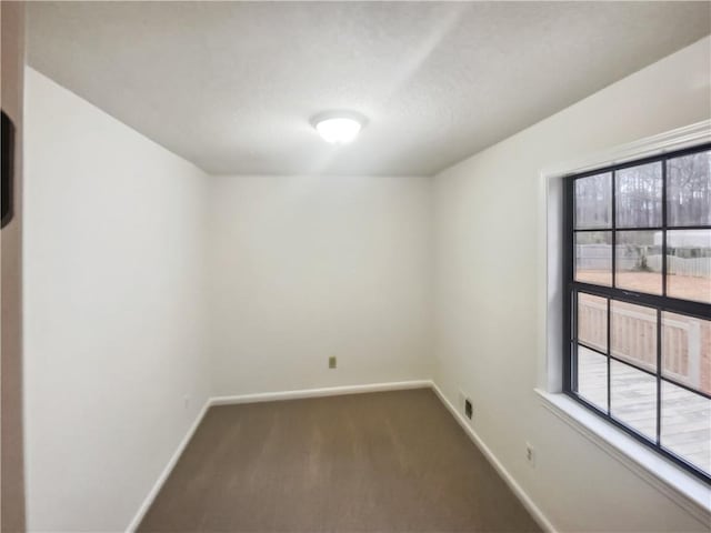 carpeted spare room featuring a healthy amount of sunlight