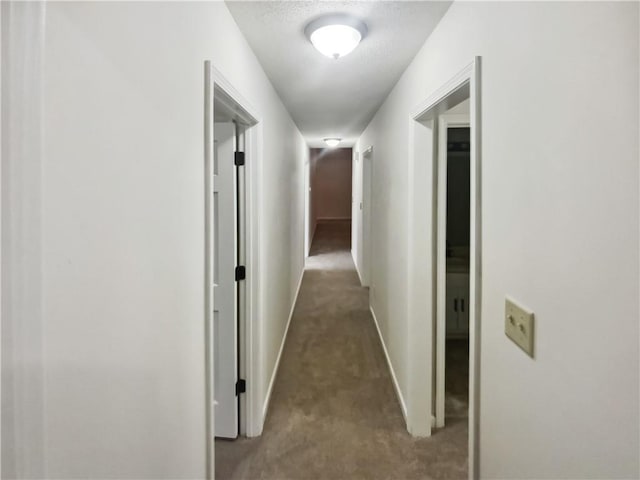 hall with carpet and a textured ceiling