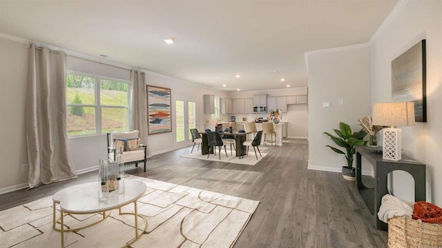 living room with ornamental molding and dark hardwood / wood-style flooring