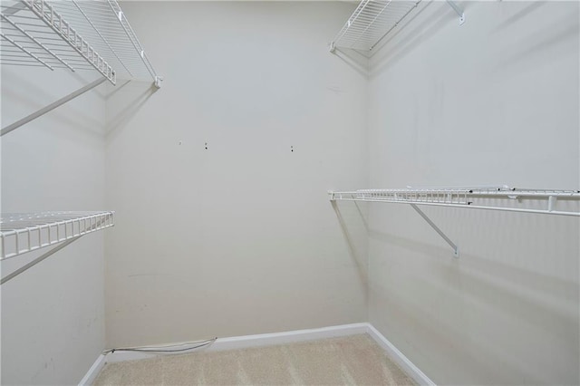 spacious closet with light colored carpet