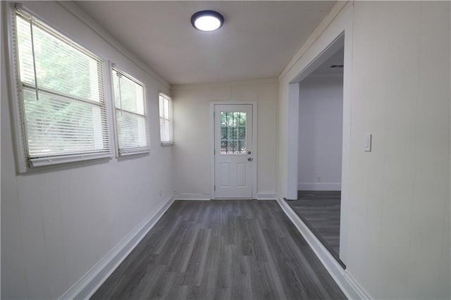 doorway to outside featuring dark hardwood / wood-style flooring