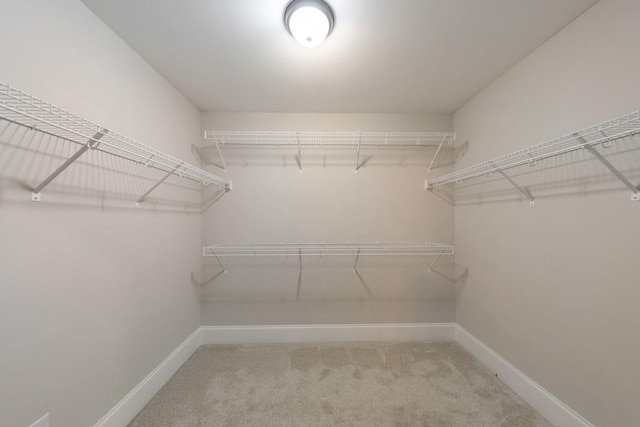 4230 Old Cherokee St, Acworth, GA 30101 - walk in closet featuring carpet