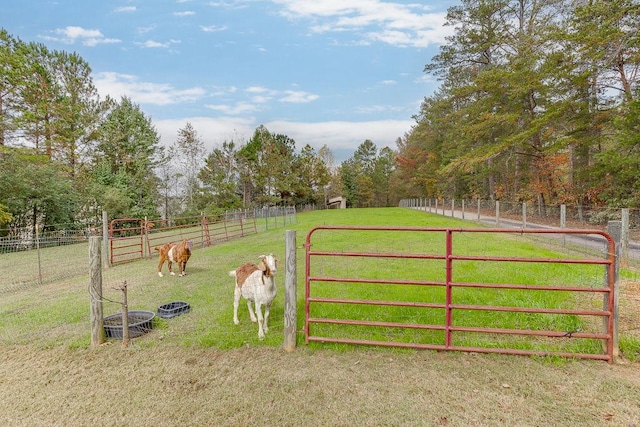 view of gate with a rural view and a lawn