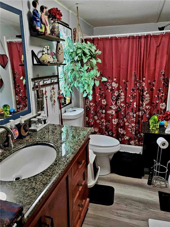 bathroom featuring vanity, toilet, and hardwood / wood-style floors