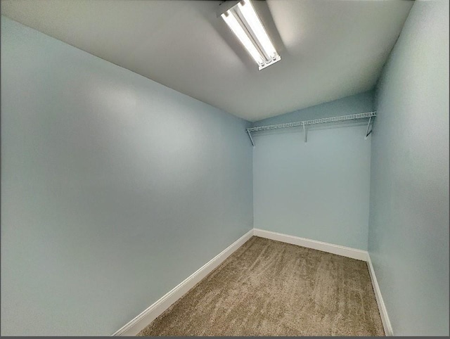 walk in closet with vaulted ceiling and carpet floors