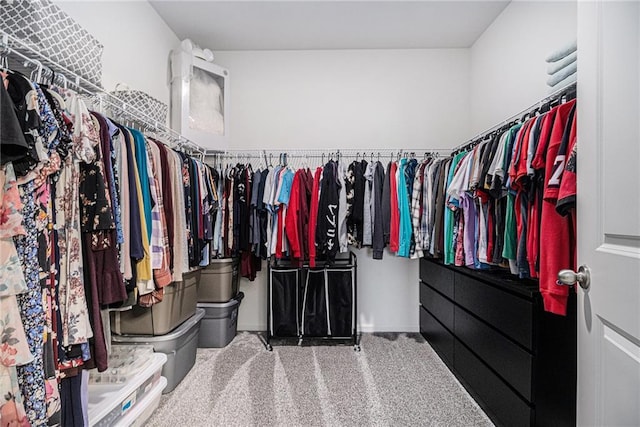 23 Stable Gate Dr, Cartersville, GA 30120 - walk in closet featuring carpet