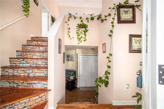 foyer with hardwood / wood-style flooring